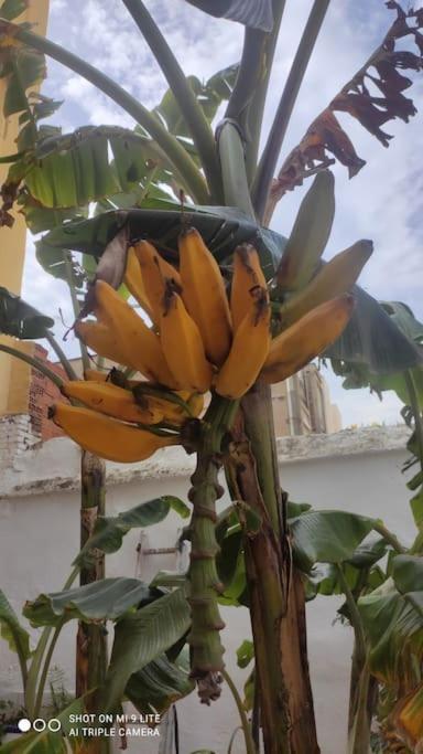 Precioso Apartamento Con A/A En Ruzafa Con Terracita Privada Y Acceso A Un Jardin, Para 2-3 Personas 발렌시아 외부 사진